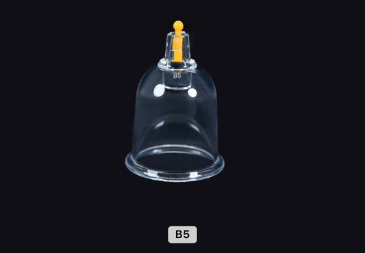 Ventouses en gros (500)