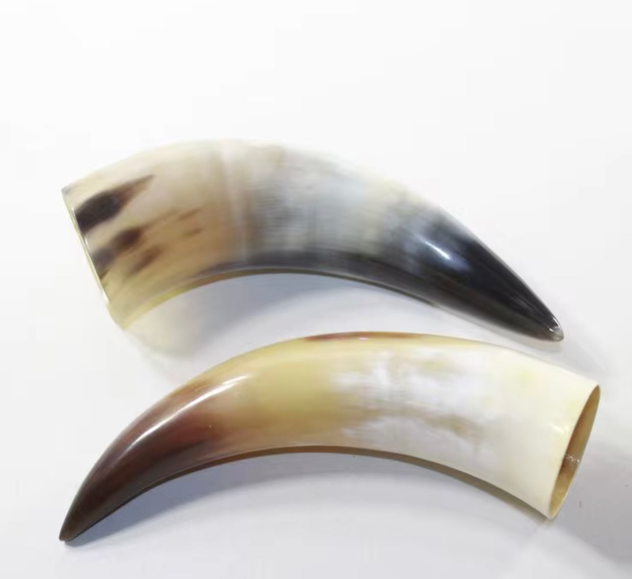 Corne de boeuf naturelle pour les ventouses de feu
