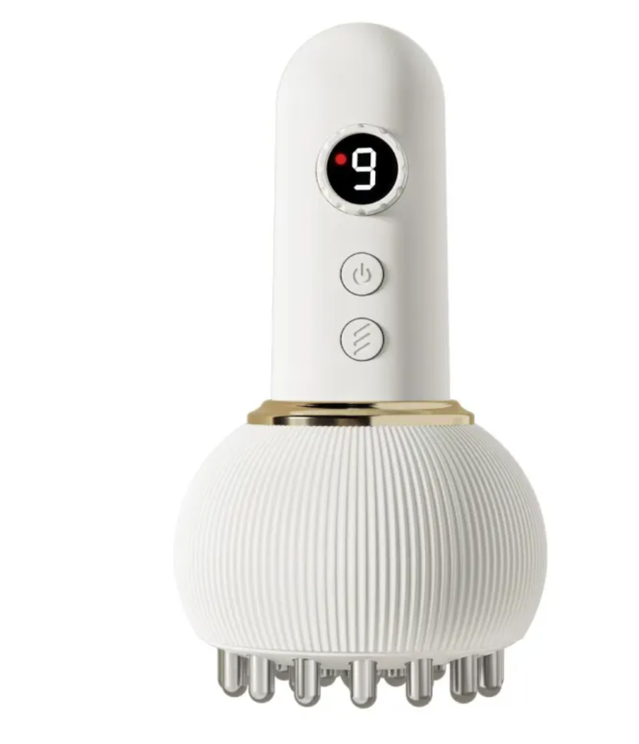 Brosse Électrique Méridienne Massage Complet du Corps